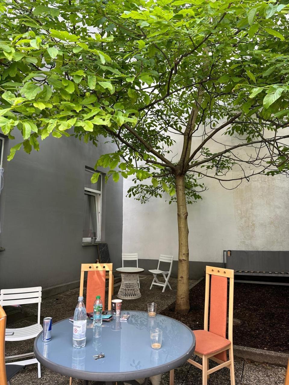 Ring 27 Grosse Ferienwohnung Im Herzen Von גלזנקירכן מראה חיצוני תמונה